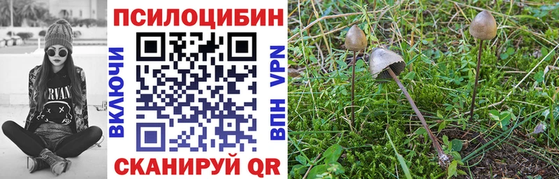 Псилоцибиновые грибы мухоморы  ссылка на мегу tor  Нязепетровск 